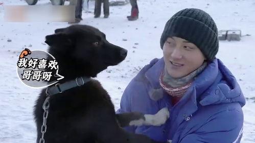 狗子爆料周冬雨视频播放,揭秘幕后故事  第2张